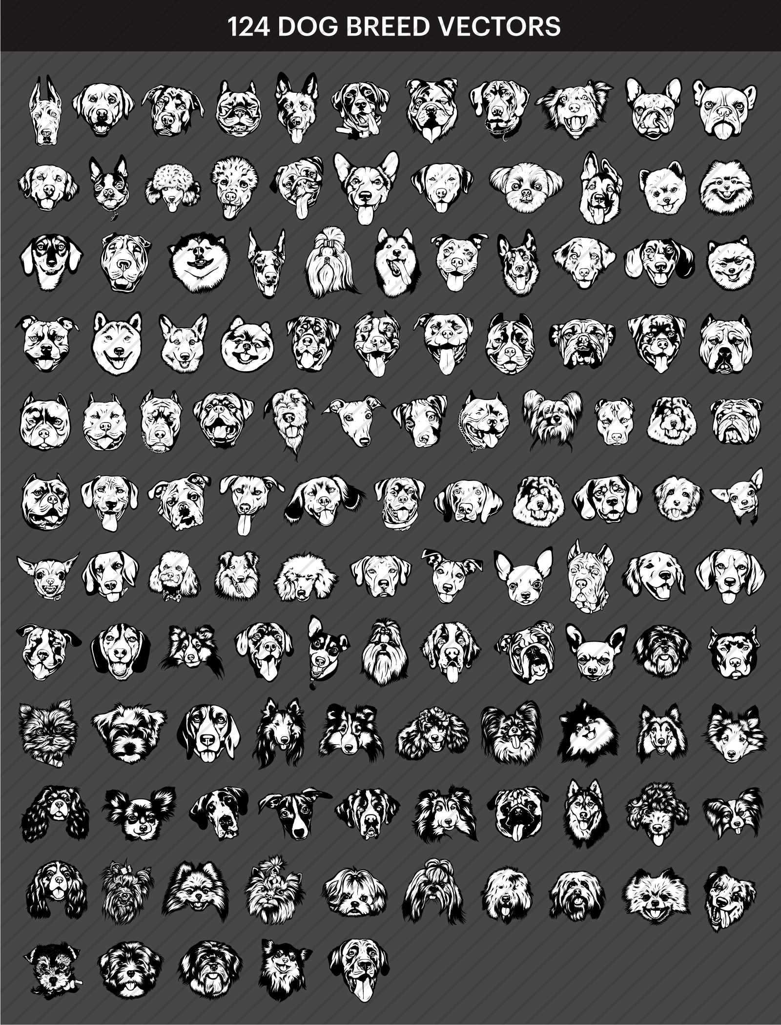 1600x2099 Vector Designs Bundle