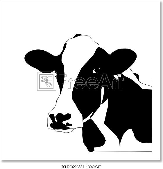 561x581 Free Art Print Of Portrait Big Black And White Cow Vector