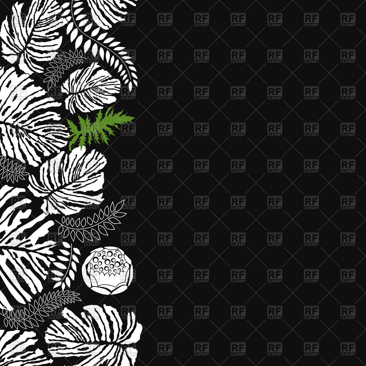 1200x1200 Floral Seamless Pattern On Black Background Vector Image