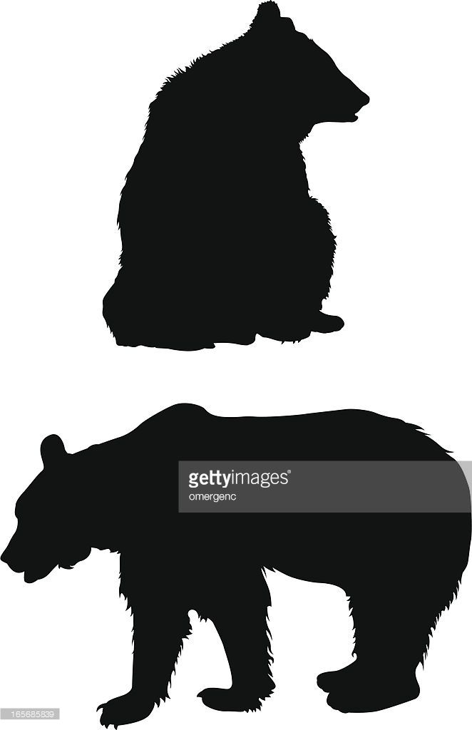 662x1024 Vector Art A Silhouette Of A Bear Sitting And Standing