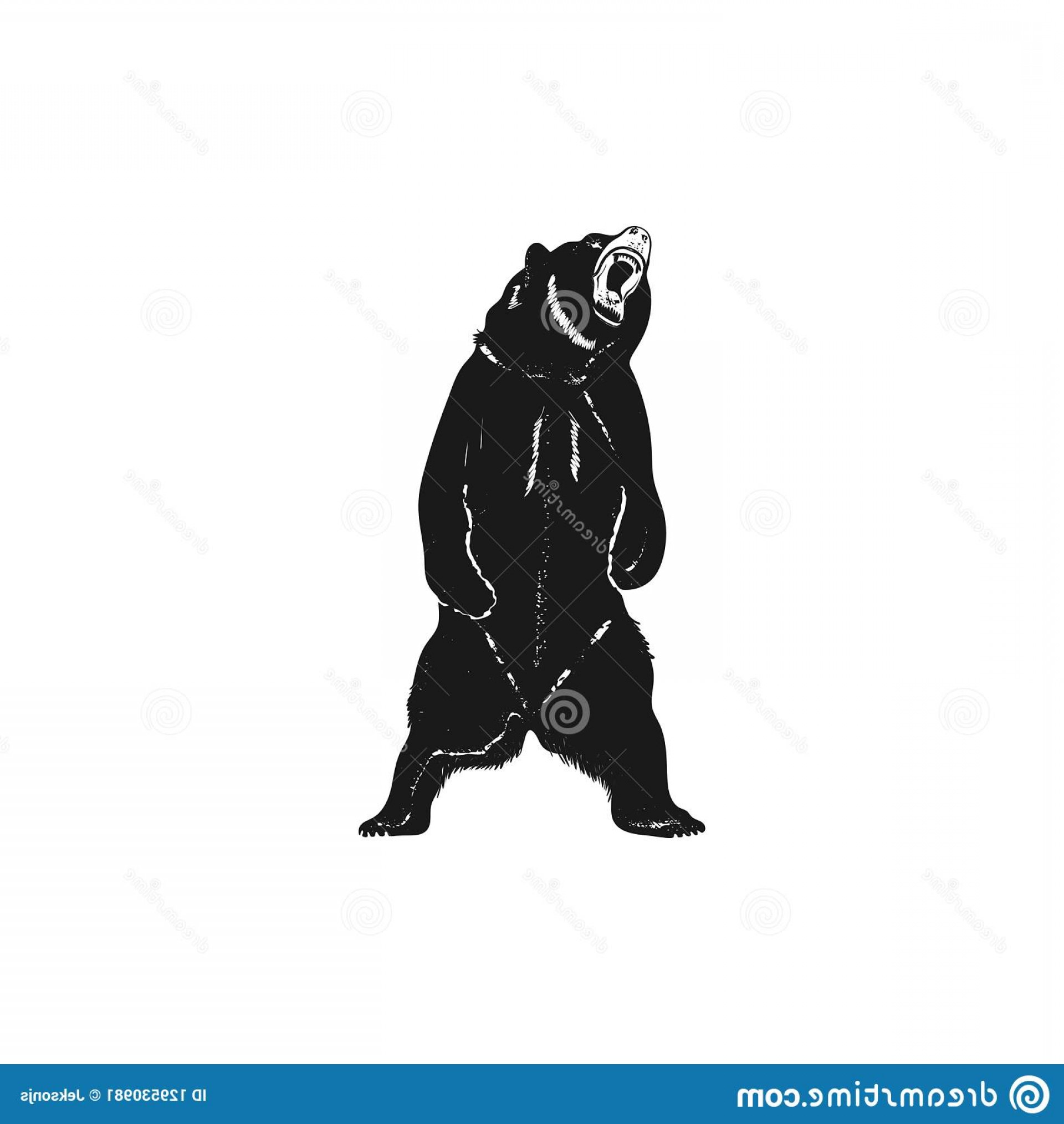 1920x2028 Grizzly Bear Silhouette Shape Distressed Wild Animal Icon Stock
