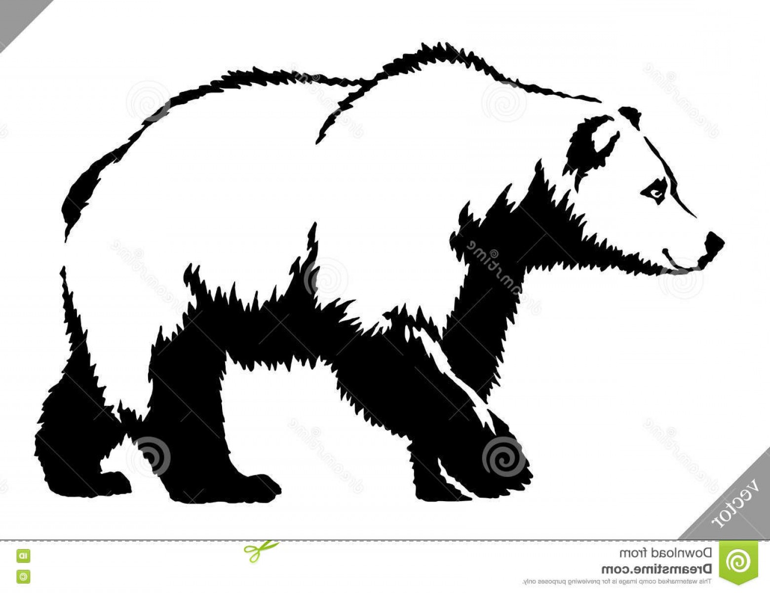 1560x1201 Stock Illustration Black White Ink Draw Bear Vector Illustration