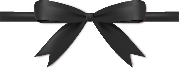 600x230 Black Bow Ribbon Icon Vector Data