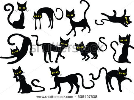 450x337 Black Cats