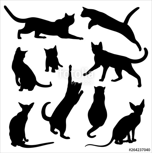 Black Cat Silhouette Vector at Vectorified.com | Collection of Black ...