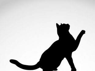 310x233 Black Cat Silhouette Free Free Vector Free Vectors Ui Download