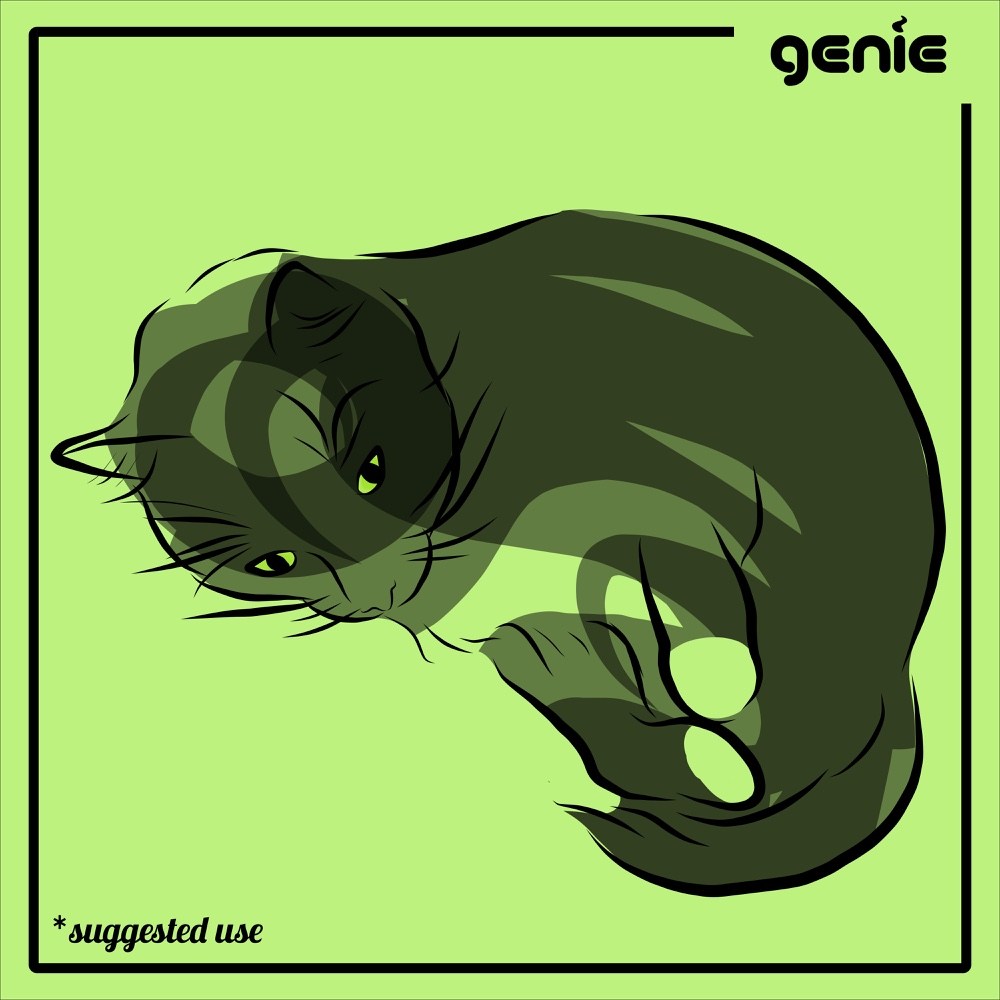 1000x1000 Black Cat Vector Graphic Illustration Hand Drawn Drawing Sketch