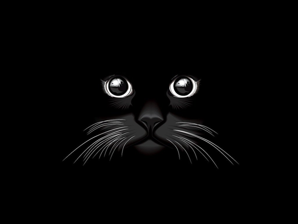 1024x768 Black Cat Vector Vector Art Graphics