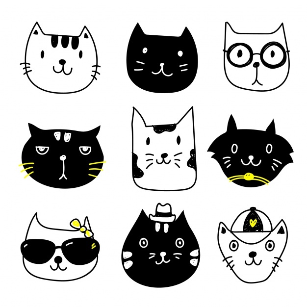 626x626 Black Cat Vectors, Photos And Free Download