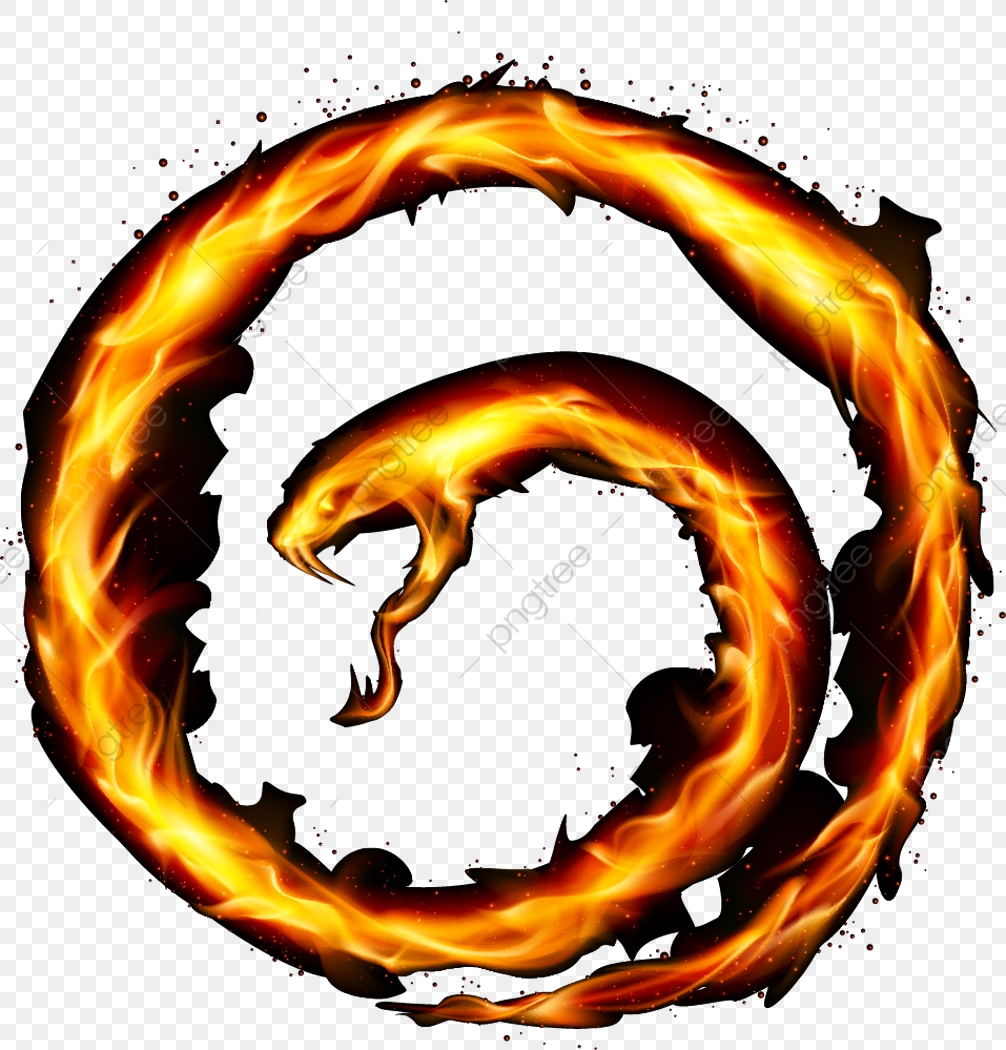 1006x1050 Cliparts For Free Download Circle Clipart Snake Vector