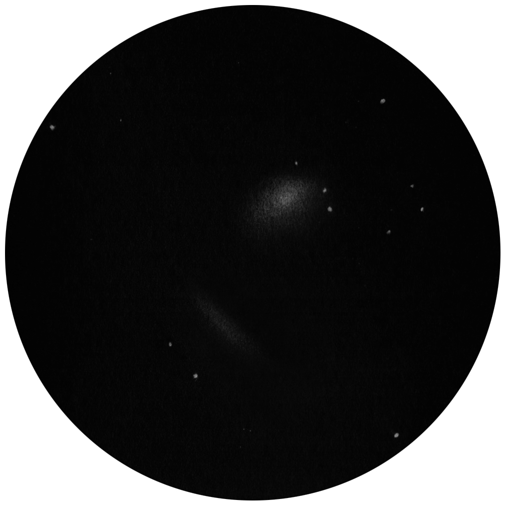 1010x1010 Notes On Zeiss Stabilized Binoculars Paul L Knight