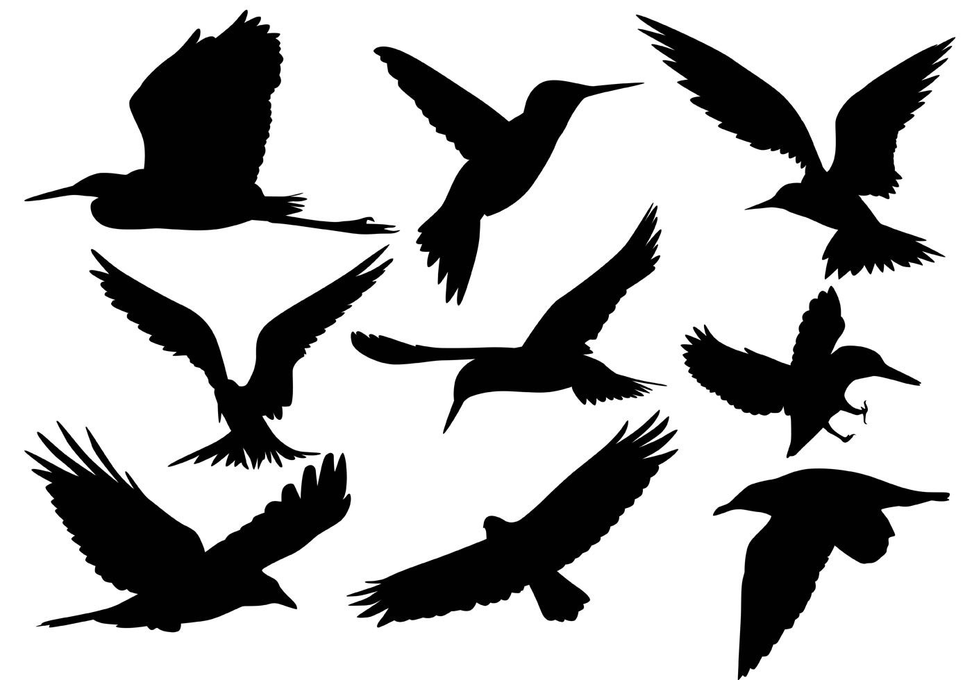 Crow Free Vector Art 1400x980 Crow Free Vector Art