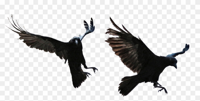 Halloween Crow Vector Free Png Image With Transparent 840x423 Halloween Crow Vector Free Png Image With Transparent