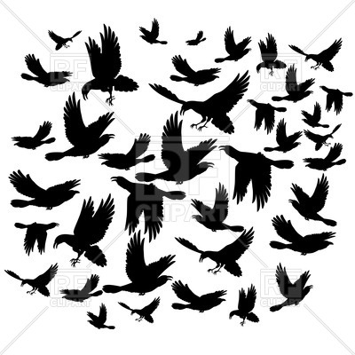 Black Crow Vector at Vectorified.com | Collection of Black Crow Vector