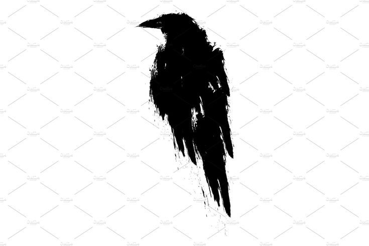 Black Crow Vector at Vectorified.com | Collection of Black Crow Vector ...