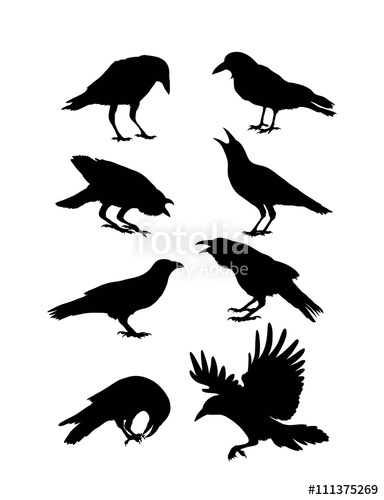 Black Crow Silhouettes, Art Vector Design Stock Image And Royalty 384x500 Black Crow Silhouettes, Art Vector Design Stock Image And Royalty