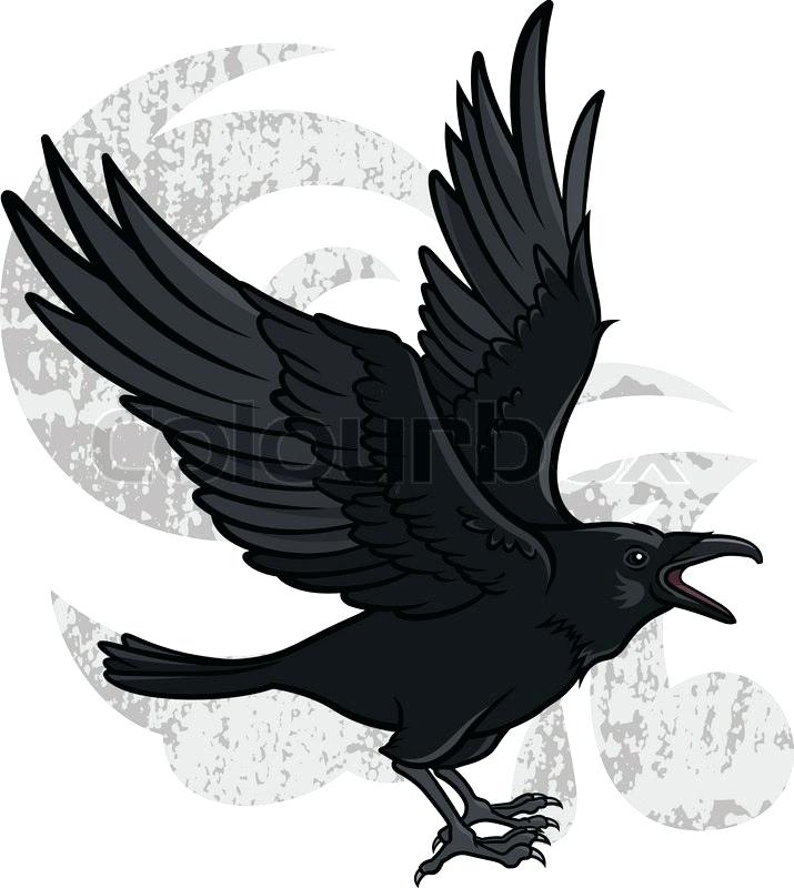 Black Crow Vector at Vectorified.com | Collection of Black Crow Vector ...