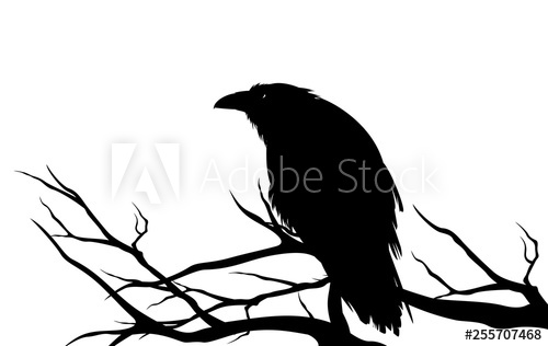 Ominous Raven Sitting On A Bare Tree Branch 500x316 Ominous Raven Sitting On A Bare Tree Branch