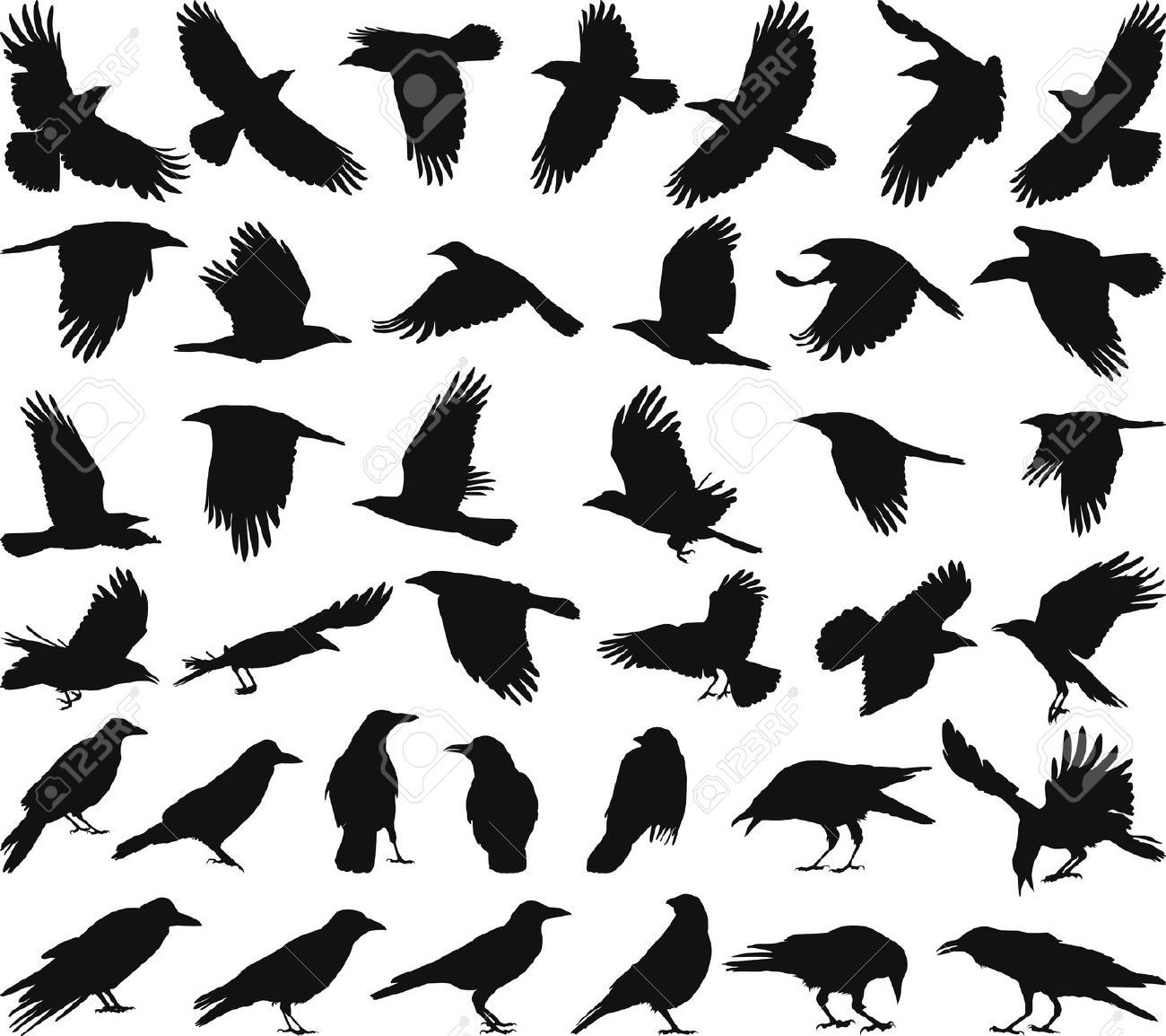 Raven Black Isolated Vector Ideas 1300x1154 Raven Black Isolated Vector Ideas