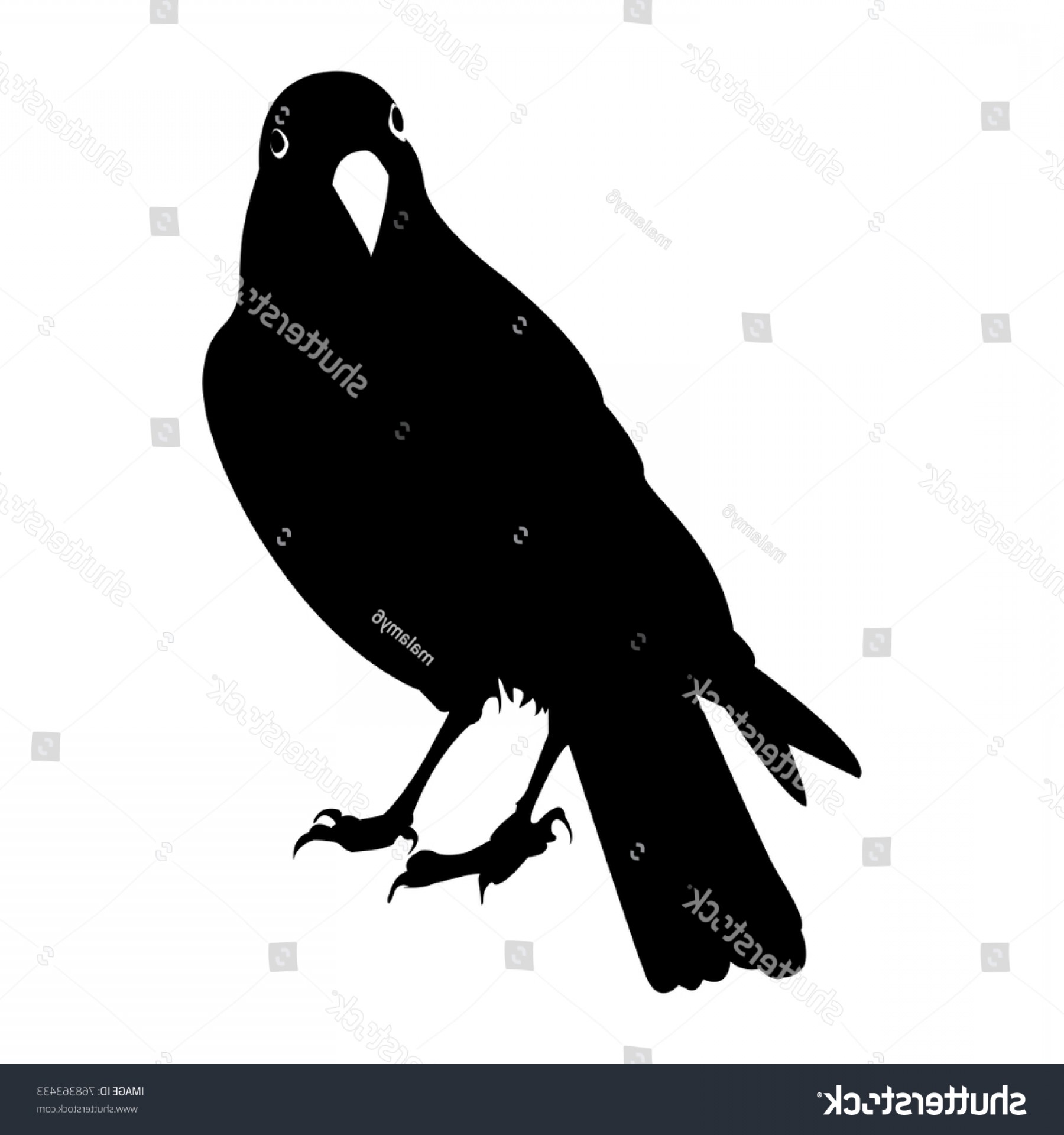 Black Crow Vector Geekshirts 1800x1920 Black Crow Vector Geekshirts