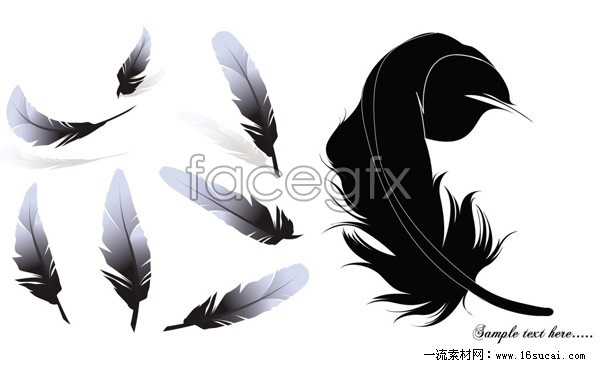 Black Feather Vector