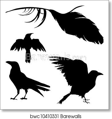 362x382 Crow, Raven, And Feather Vector, Art Print Barewalls Posters