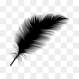 260x260 Feather Vector Png Images In Collection