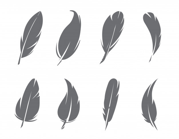 626x486 Feather Vectors, Photos And Free Download