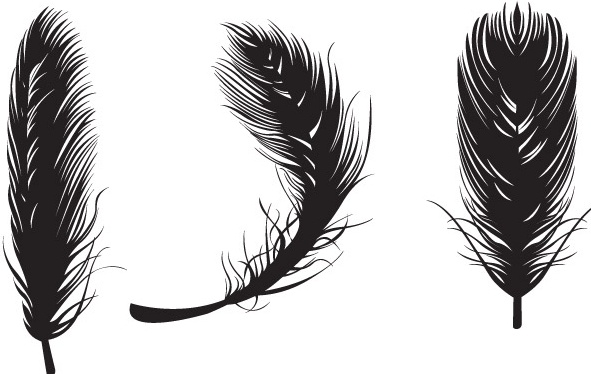 Download Black Feather Vector at Vectorified.com | Collection of ...