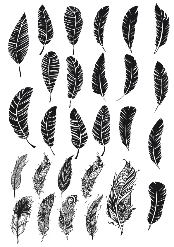 595x842 Black And White Feathers Vector Set Free Vector Download In Cdr