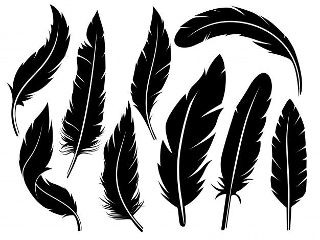 626x469 Detailed Graceful Feather Silhouette Set Premium Vector Flowers