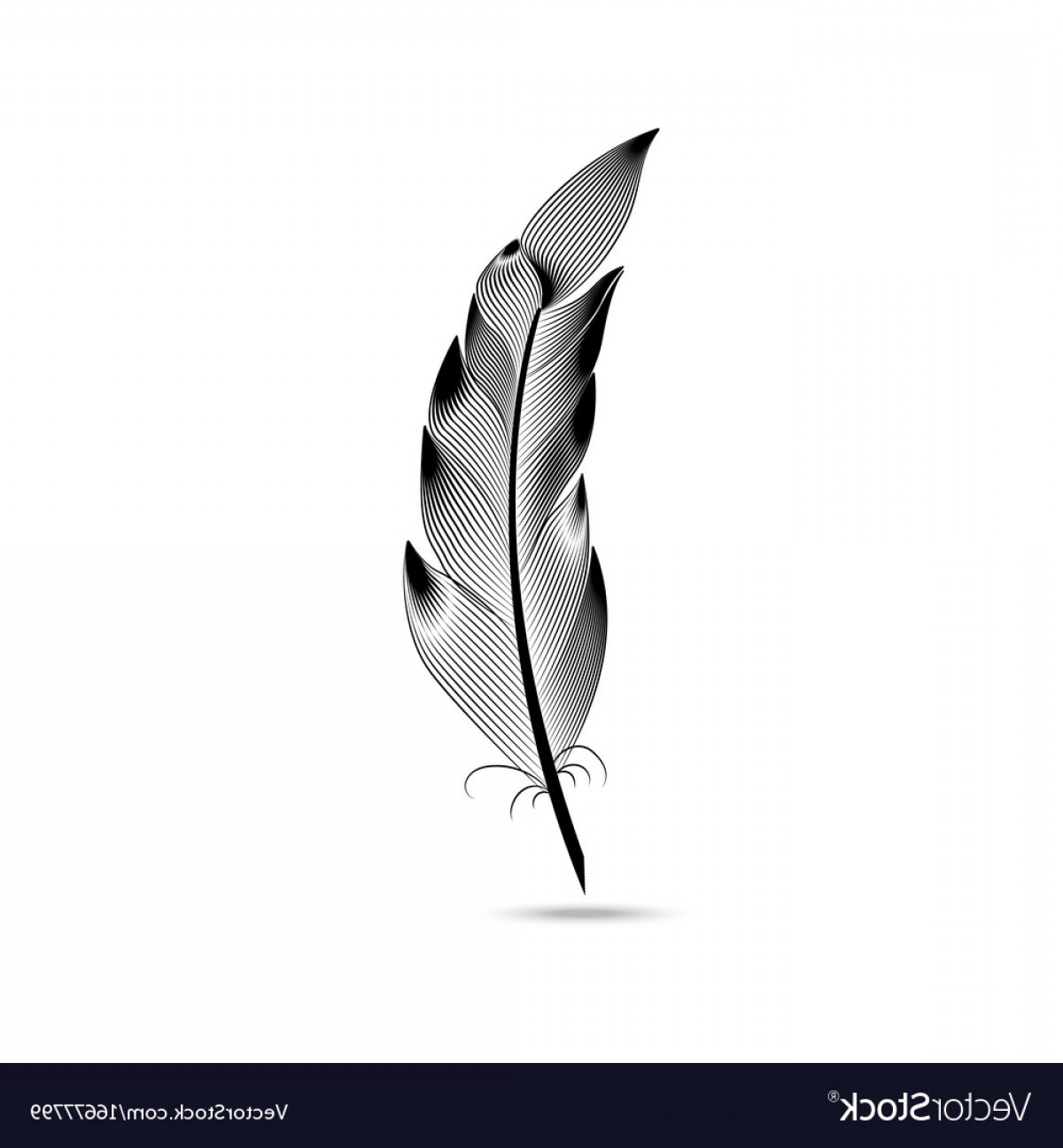 1200x1296 Black And White Large Curved Feather Vector Soidergi