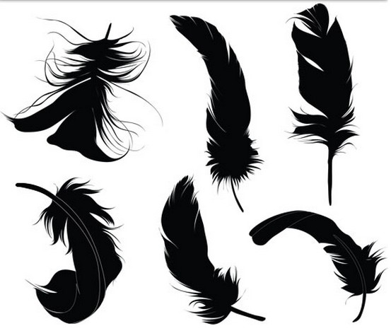 553x468 Black Feathers Vector Design Vectors Free Download