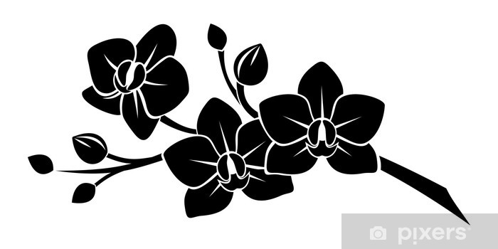 700x350 Black Silhouette Of Orchid Flowers Vector Illustration Wall