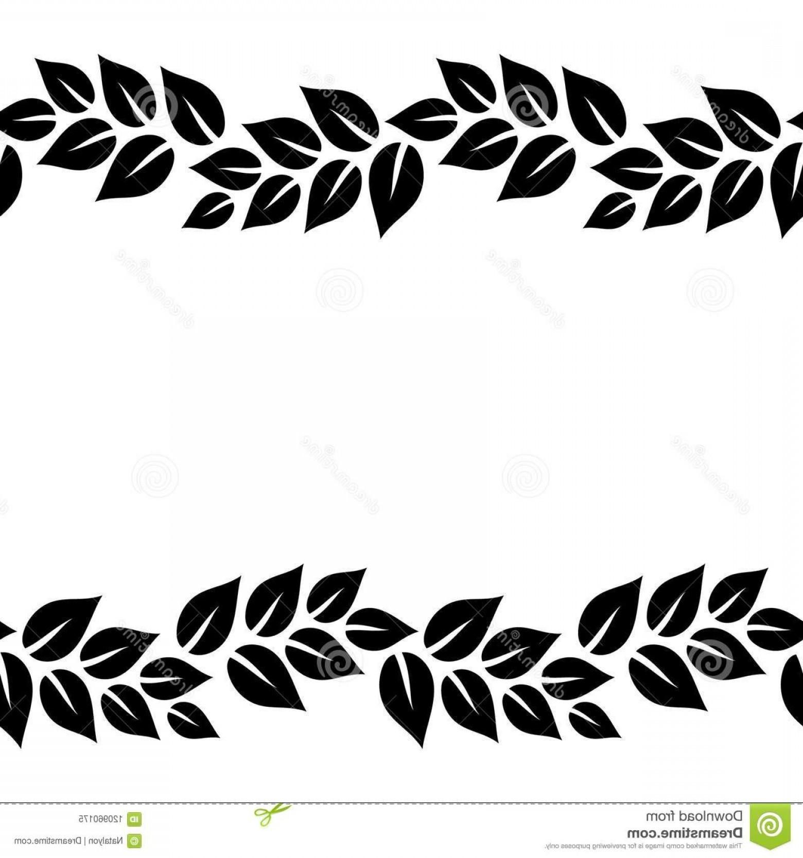 1560x1668 Black White Elegant Leaves Seamless Border Frame Vector Black