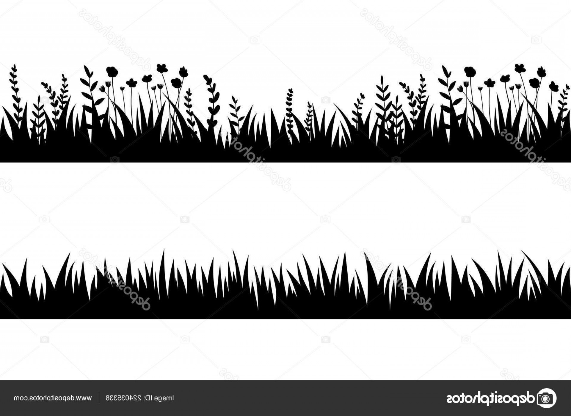 1920x1400 Grass Vector Black And White Savoyuptown