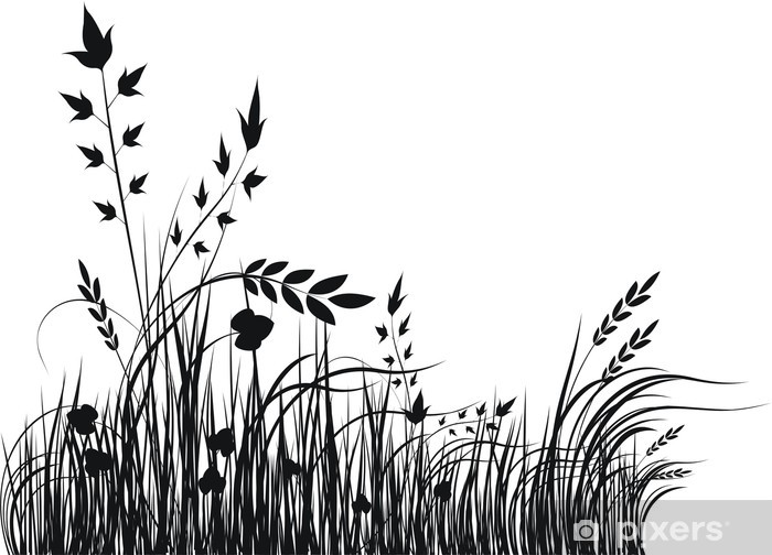 700x504 Grass Vector Silhouette Wall Mural