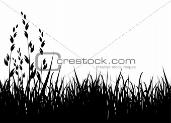 340x244 Image Grass Vector Silhouette From Crestock Stock Photos