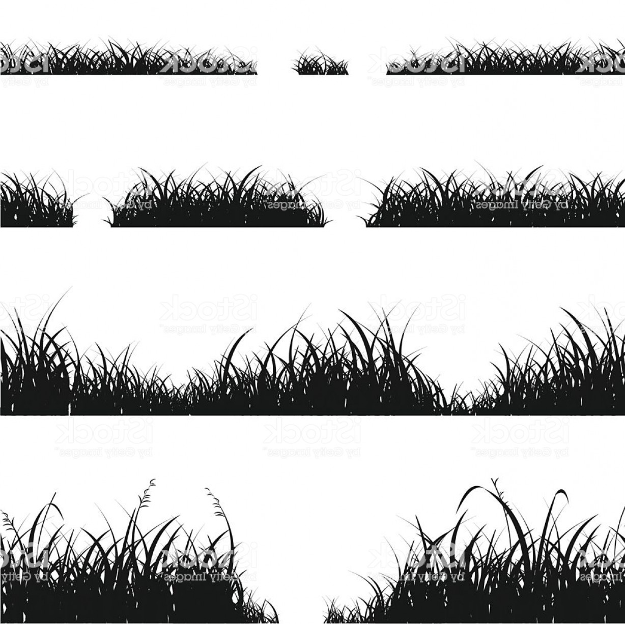 1228x1227 Set Of Black Grass Silhouette Vector Gm Soidergi