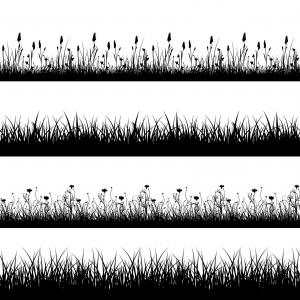 300x300 Shutterstock Vector Modern Black Grass Silhouette Newwaysys