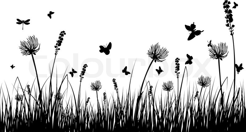800x431 Vector Grass Silhouettes Background Stock Vector Colourbox