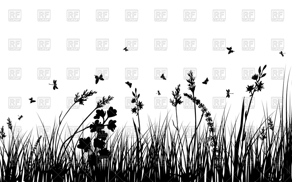 1200x750 Wild Grass Black Silhouette Vector Image Of Plants And Animals
