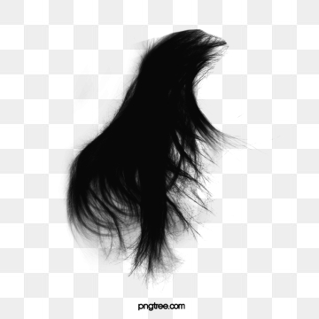 Hair Png, Vector, And Clipart With Transparent Background 360x360 Hair Png, Vector, And Clipart With Transparent Background