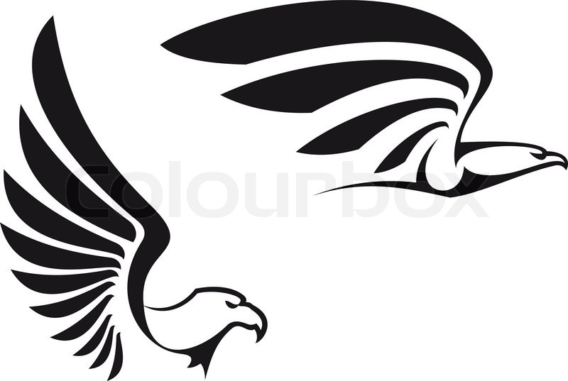 Black Eagles Isolated On White Stock Vector Colourbox 800x537 Black Eagles Isolated On White Stock Vector Colourbox