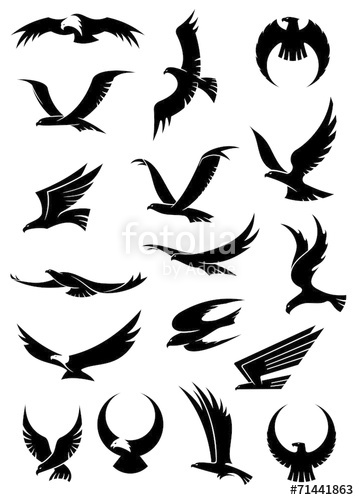 Flying Eagle, Falcon And Hawk Vector Icons Stock Image 359x500 Flying Eagle, Falcon And Hawk Vector Icons Stock Image
