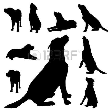 450x450 Black Lab Clipart Collection