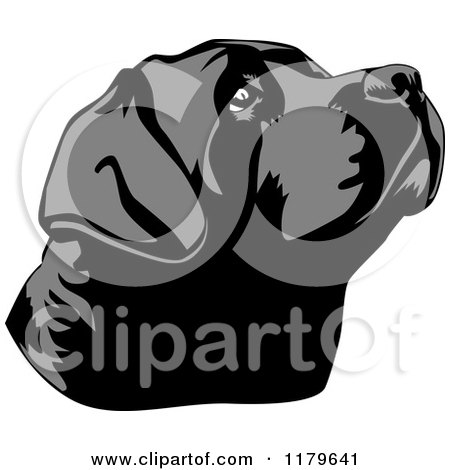 450x470 Cartoon Of A Black Lab Dog Face Tilted Up