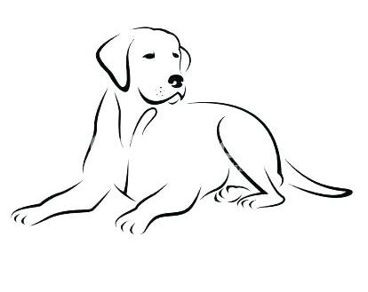 414x329 Coloring Pages Labrador Residence Black Lab Retriever Dog Vector