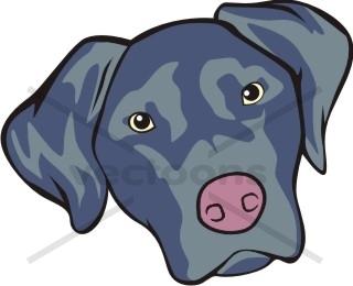 320x260 Cute Black Labrador Cartoon