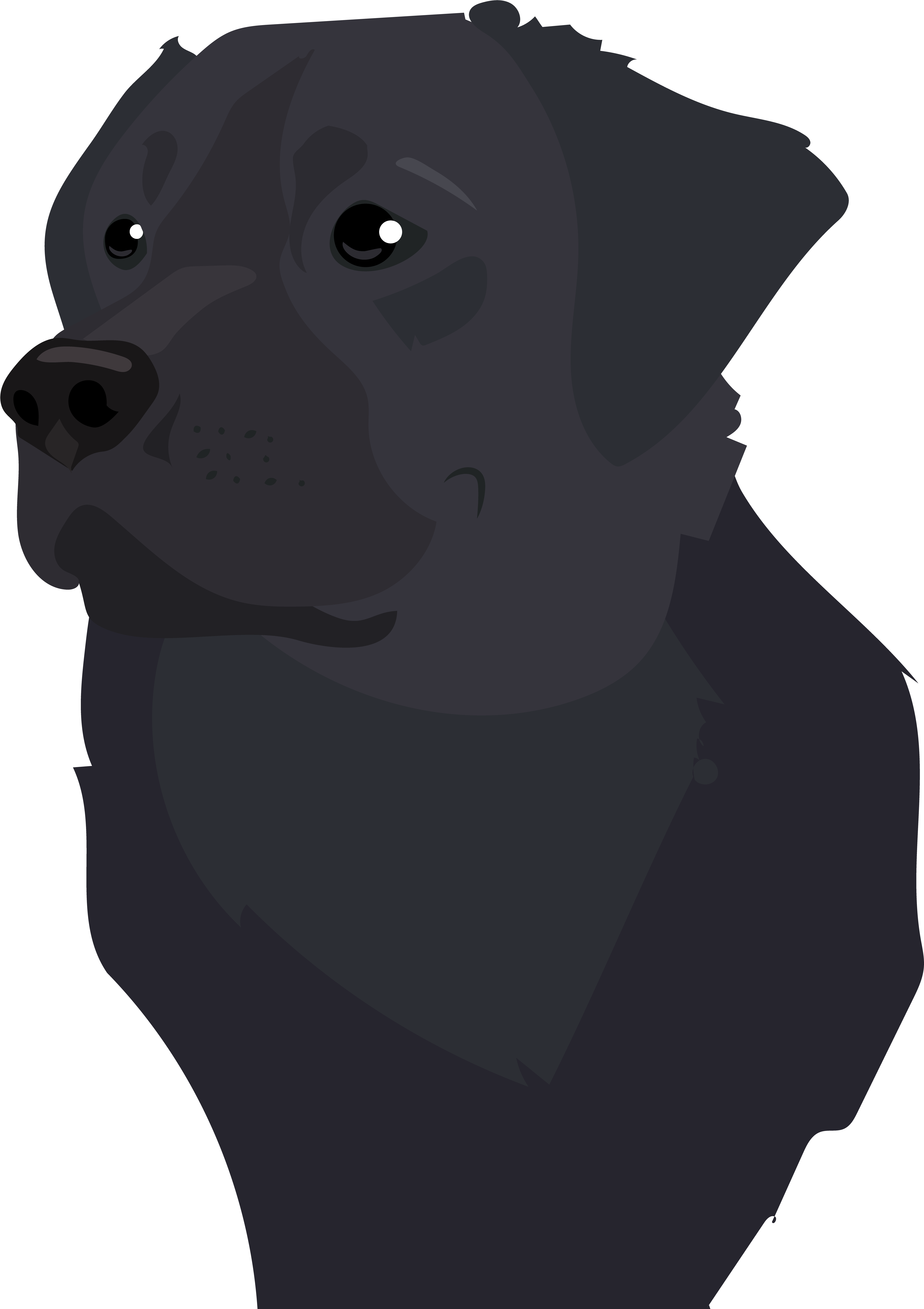 5486x7773 Hd Black Lab Vector Transparent Png Image Download